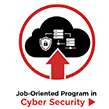 cybersecurity