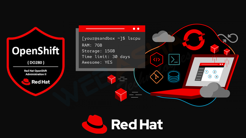 red hat Insight 1