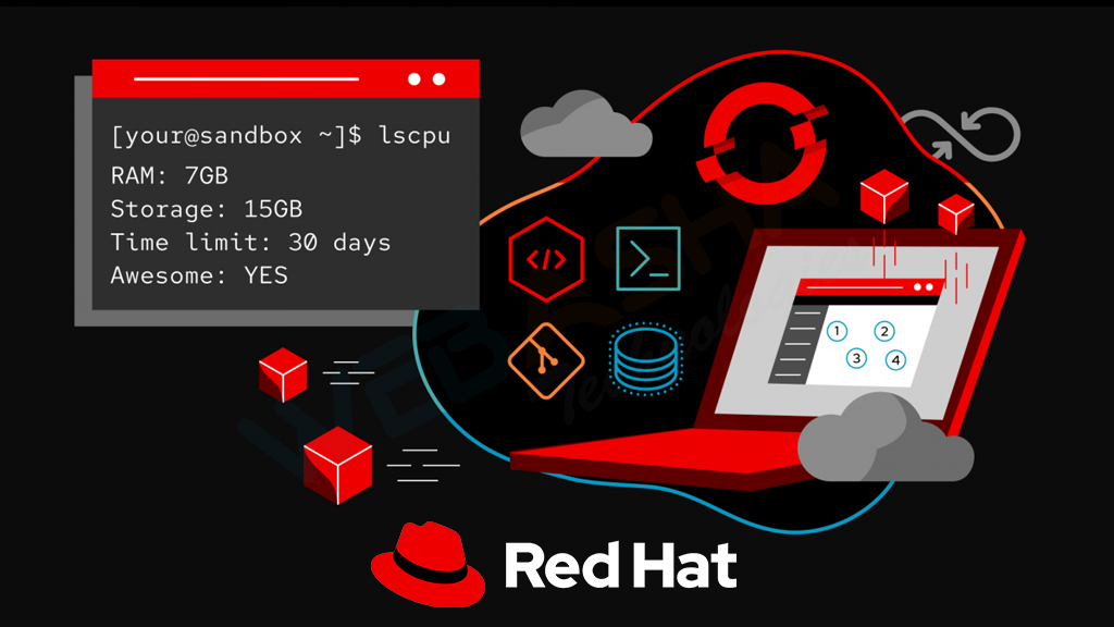 red hat Insight 2