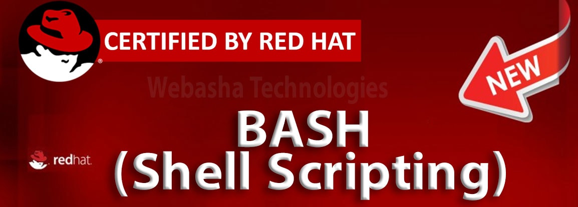 bash training institute in pune