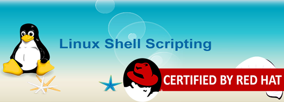 shell scripting training center