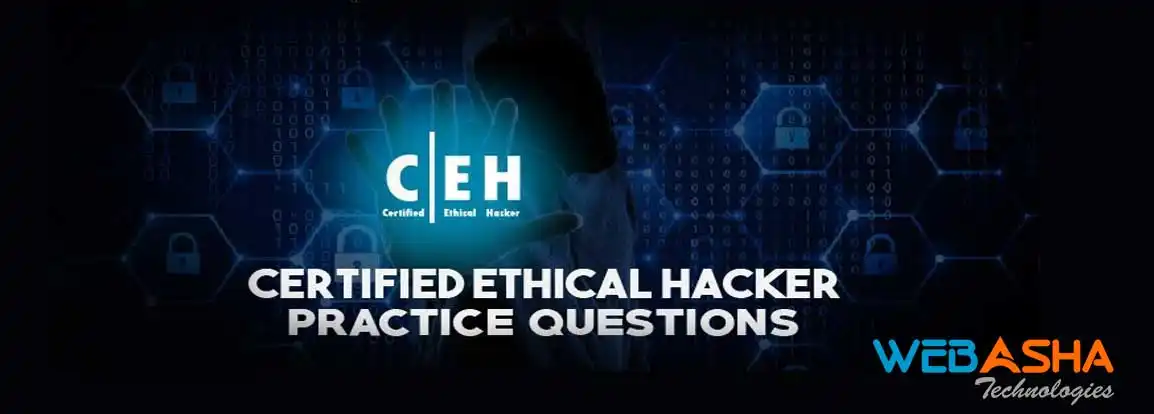 Ethical Hacking - CEH  training in Institute
