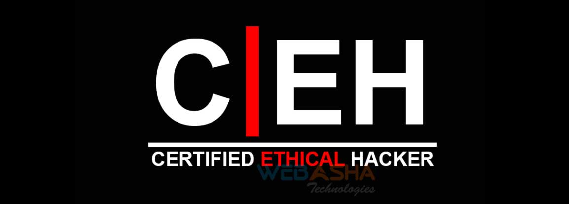 Certified Ethical Hacker - CEH v12 Practical  training in pune