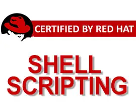shell scripting training in pune